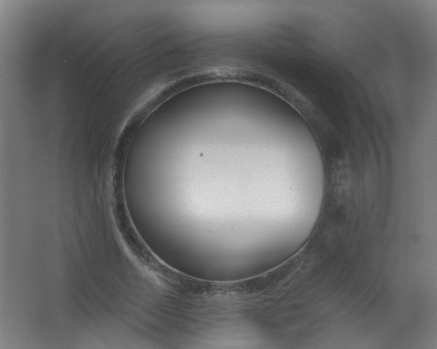 X0000063520730200602032109