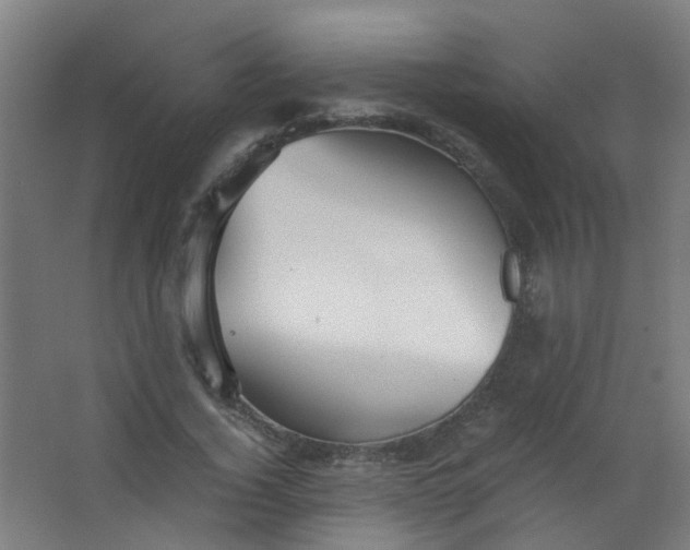 X0000063520732200602032109