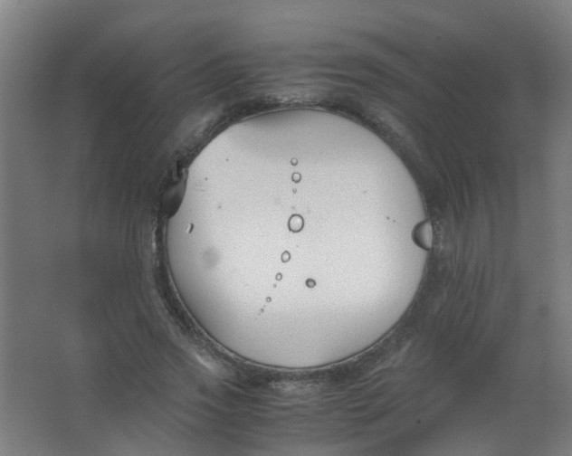 X0000063520733200602032109