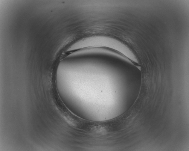 X0000063520735200602032109