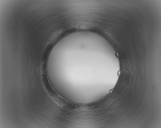 X0000063520738200602032109