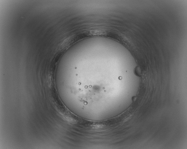 X0000063520741200602032109