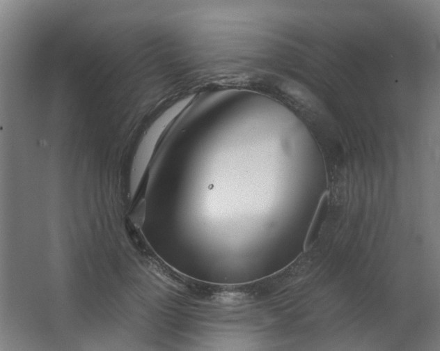 X0000063520748200602032109