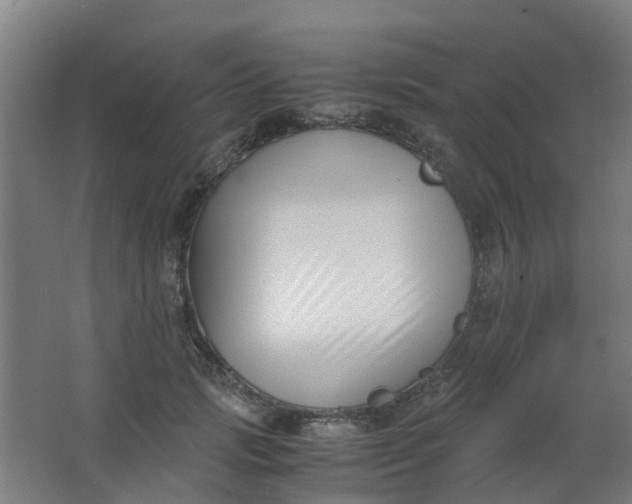 X0000063520749200602032109