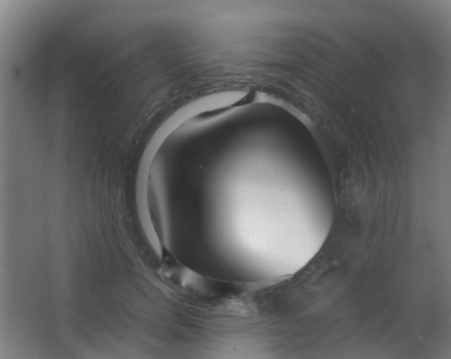 X0000063520750200602032109