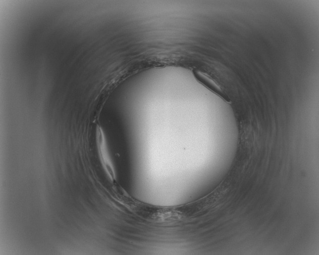 X0000063520752200602032109