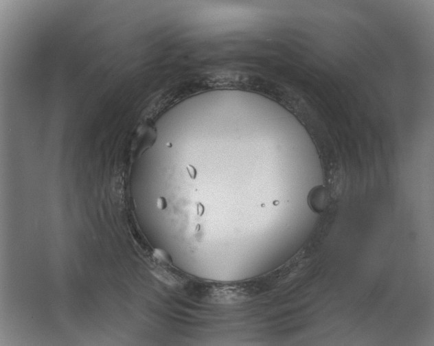 X0000063520753200602032109