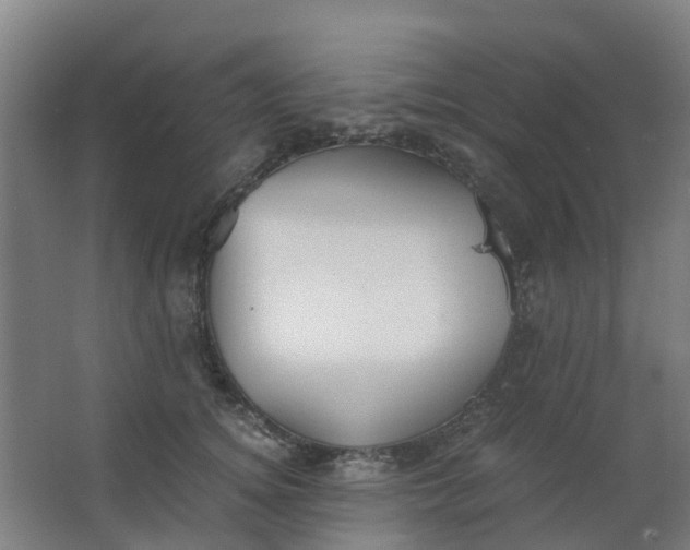 X0000063520756200602032110