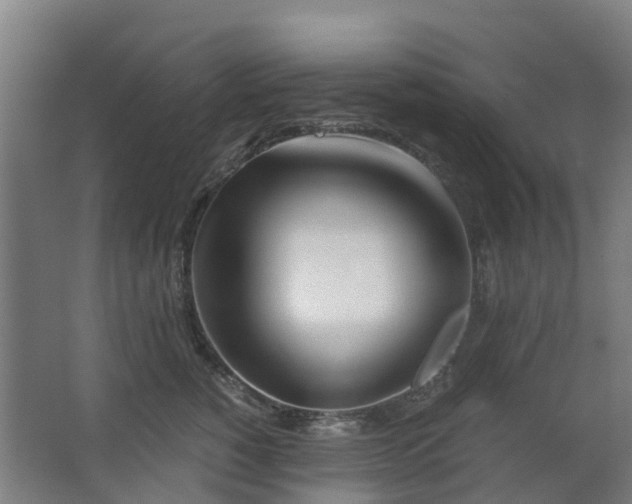 X0000063520760200602032110