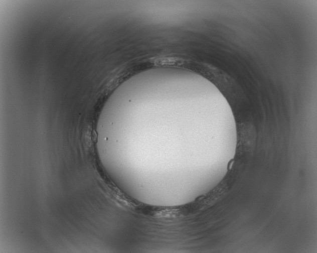 X0000063520761200602032110