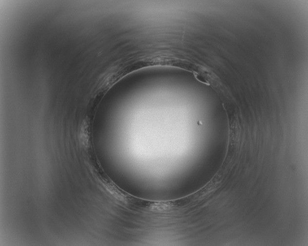 X0000063520762200602032110