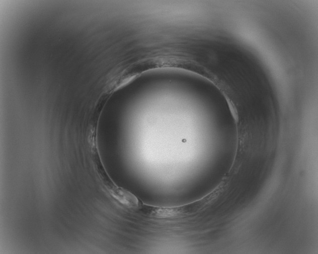 X0000063520766200602032110