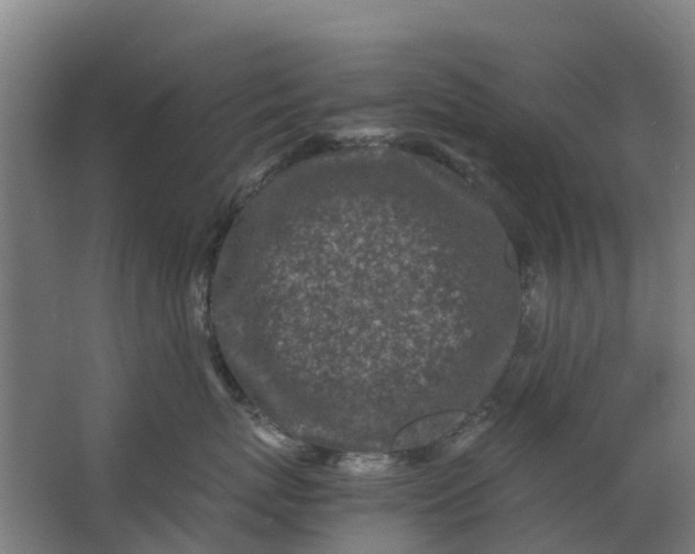 X0000063520767200602032110