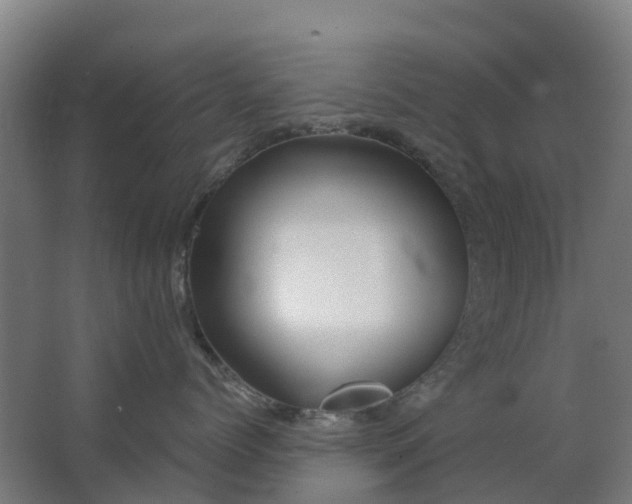 X0000063520768200602032110