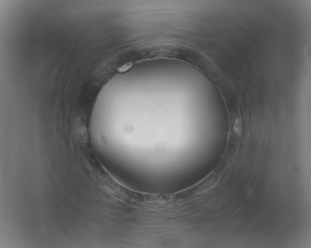 X0000063520771200602032109