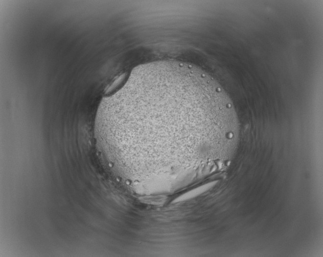 X0000063520772200602032109