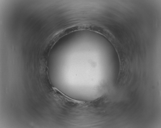 X0000063520773200602032109