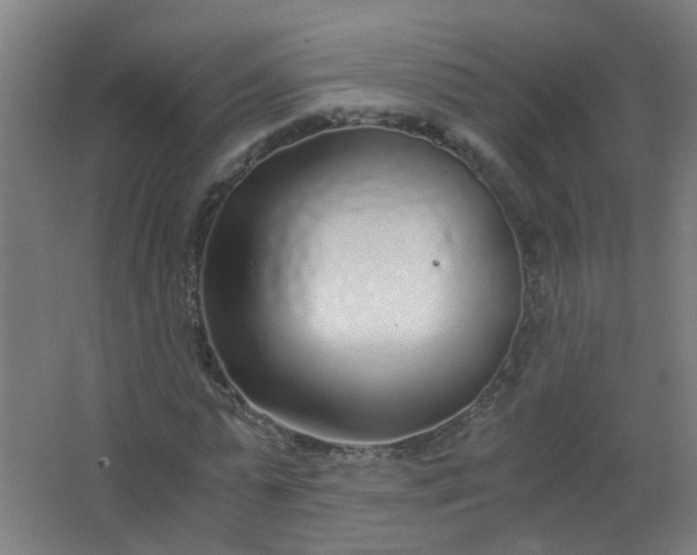 X0000063520775200602032109