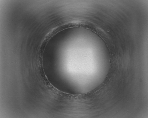 X0000063520776200602032109