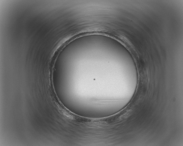 X0000063520781200602032109