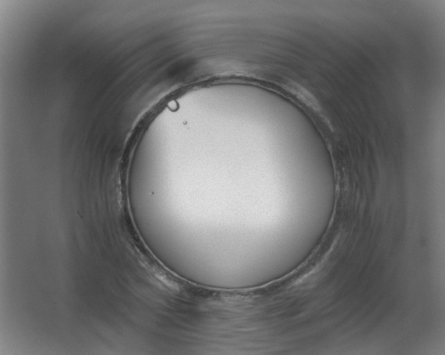 X0000063520782200602032109