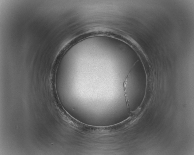 X0000063520783200602032109