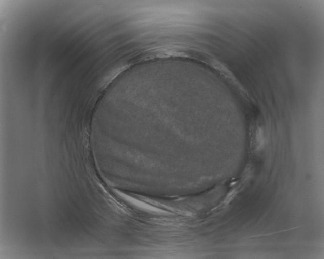 X0000063520785200602032109