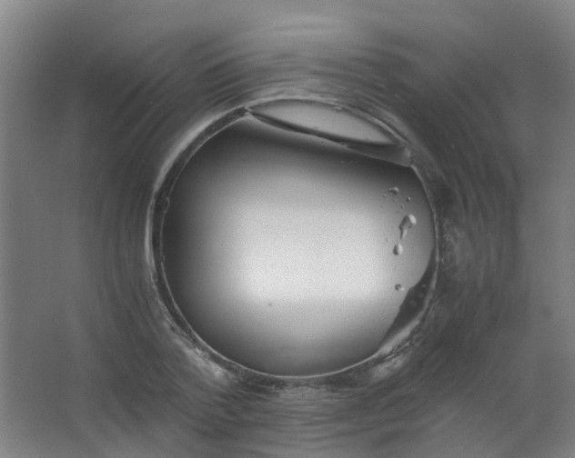 X0000063520788200602032109