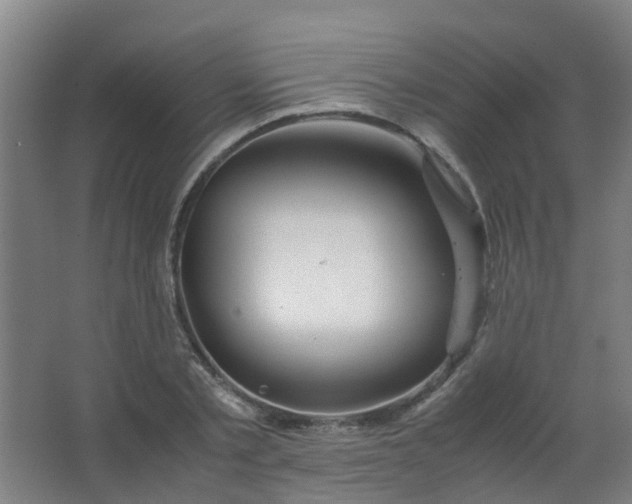 X0000063520789200602032109