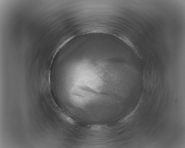 X0000063520790200602032109