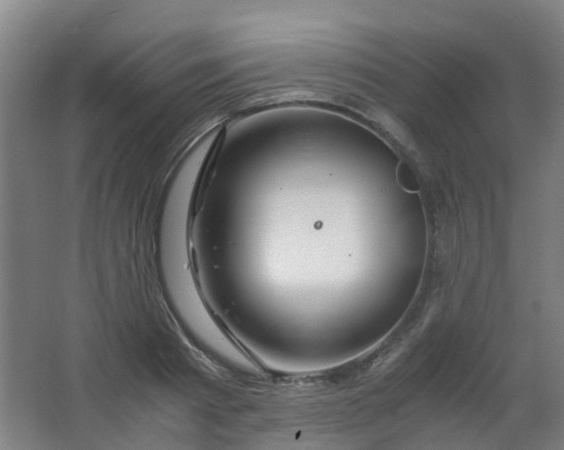 X0000063520793200602032109