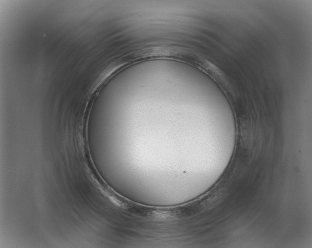 X0000063520794200602032108