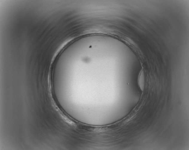 X0000063520796200602032108