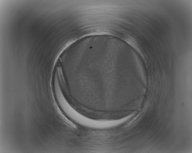 X0000063520797200602032108