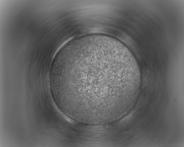 X0000063520798200602032108