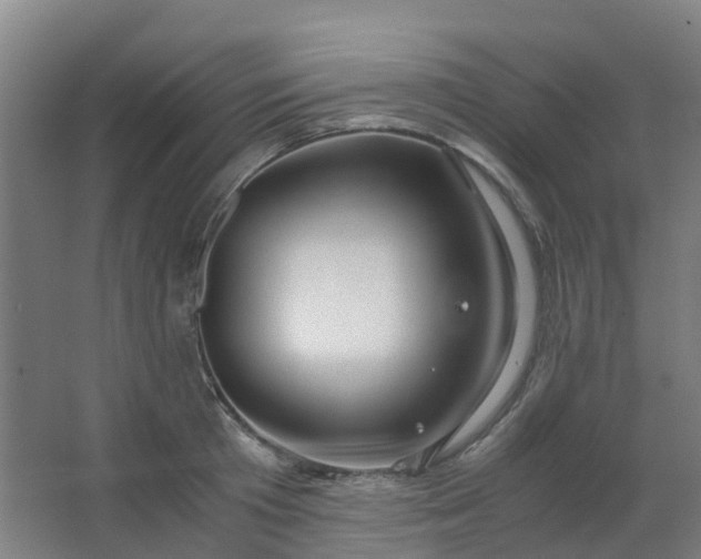 X0000063520801200602032108