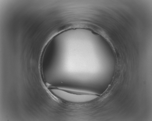 X0000063520803200602032108