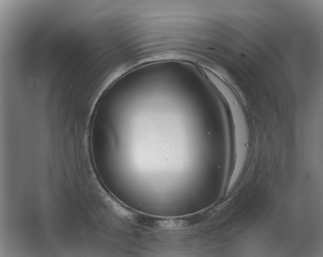 X0000063520805200602032108