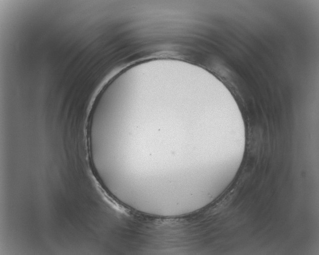 X0000063520808200602032108