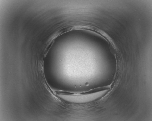 X0000063520809200602032108