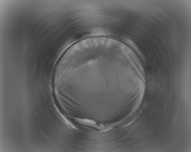 X0000063520810200602032108