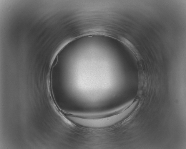 X0000063520812200602032108