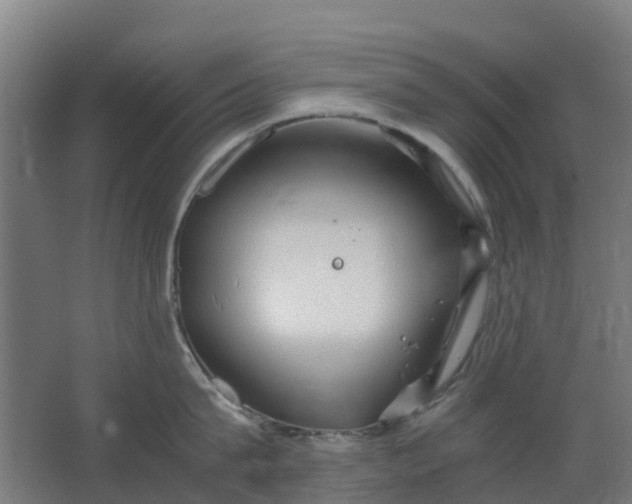 X0000063520815200602032108