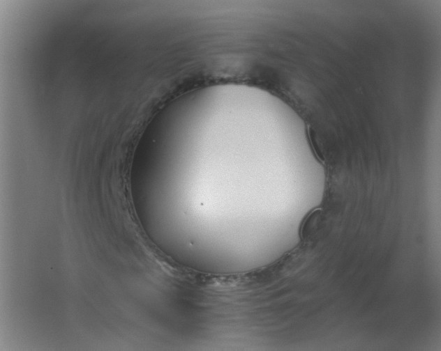 X0000063520817200602032107