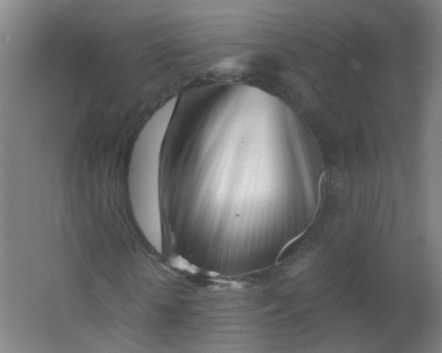 X0000063520818200602032107