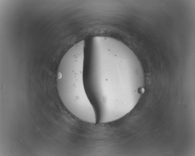 X0000063520820200602032107