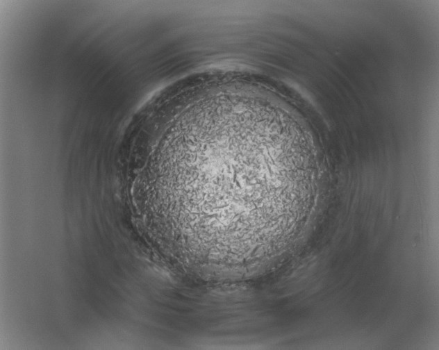 X0000063520823200602032107