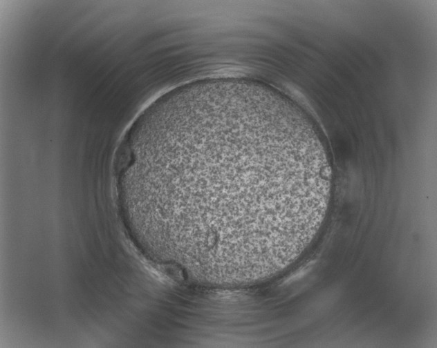 X0000063520835200602032108