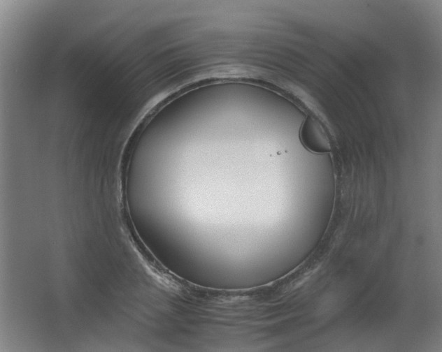 X0000063520837200602032108