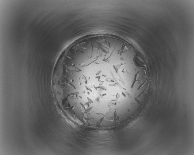 X0000063520839200602032108